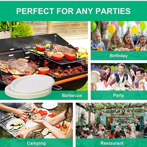 Birthday Party Plates 9 Inch 10 Inch Disposable Paper Plates