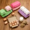 Colored Egg Cartons Paper Tray