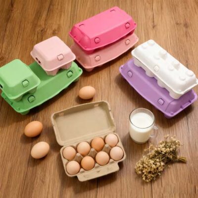 Colored Egg Cartons Paper Tray