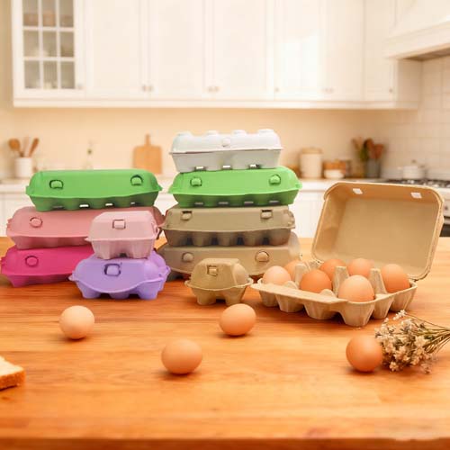 Colored Egg Cartons Paper Tray