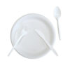 Disposable Cornstarch Plate Bowl Cutlery Set Disposable Cornstarch Plate Bowl Cutlery Set