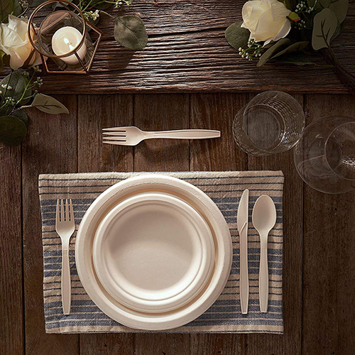 Disposable Cornstarch Plate Bowl Cutlery Set Disposable Cornstarch Plate Bowl Cutlery Set