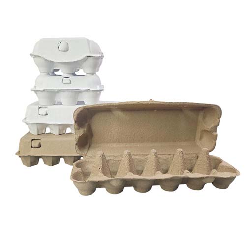 Farm Fresh Egg Paper Packaging