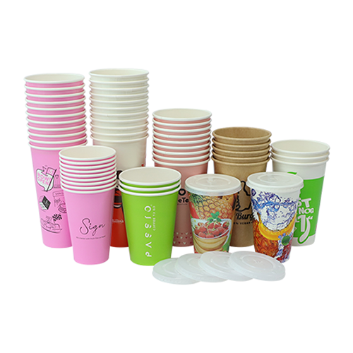 How a Paper Cup Is Made Materials, Process & Environmental Impact
