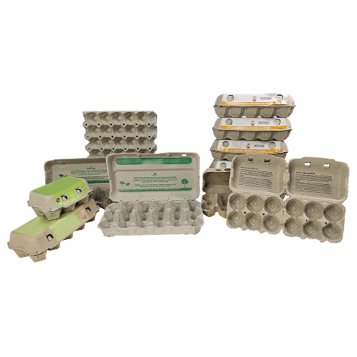 Paper Egg Tray for Farm Use