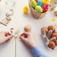 Wholesale Paper Egg Cartons Wholesale Paper Egg Cartons