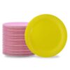 10 Inch Eco-Friendly Paper Plates