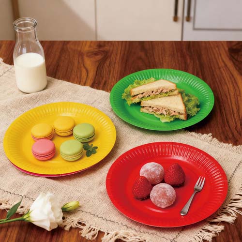 8 Inch Compostable Round Paper Plates