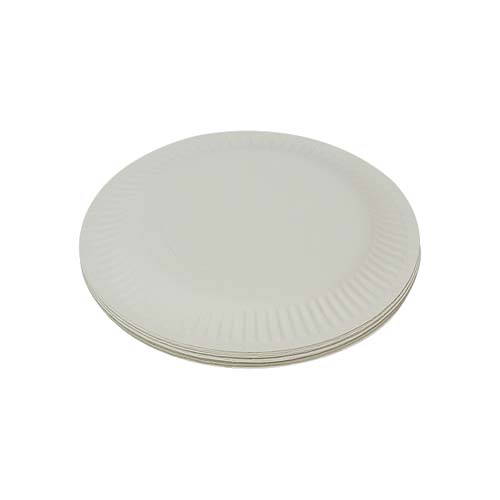 Outdoor Picnic Disposable Paper Plates Outdoor Picnic Disposable Paper Plates