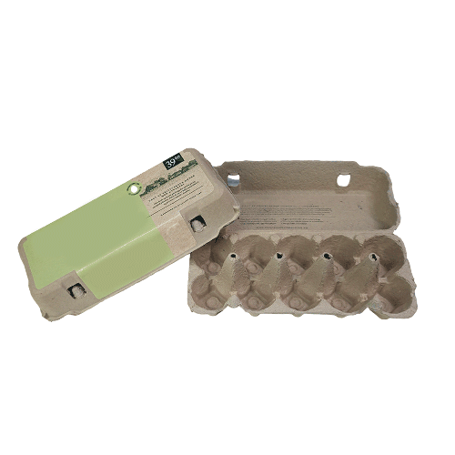 Paper-Pulp 10 Eggs Cartons
