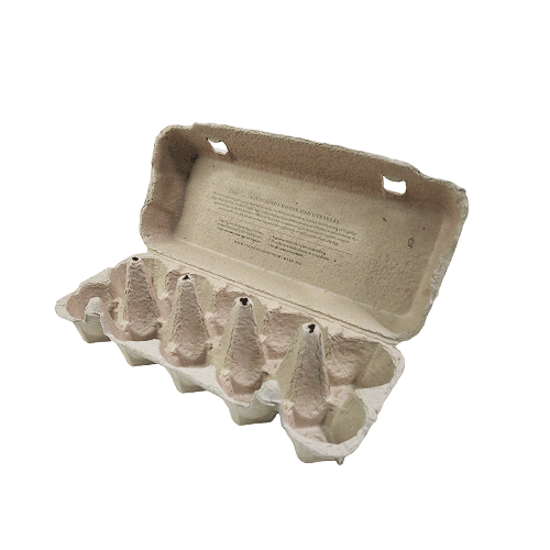 Paper-Pulp 10 Eggs Cartons