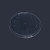 PP Plastic Lid for Paper Cup & Salad Bowl PP Plastic Lid for Paper Cup & Salad Bowl