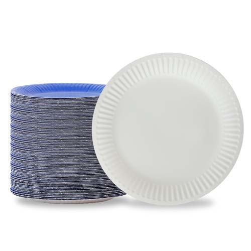 Paper Plate with 678910 Inches Paper Plate with 678910 Inches