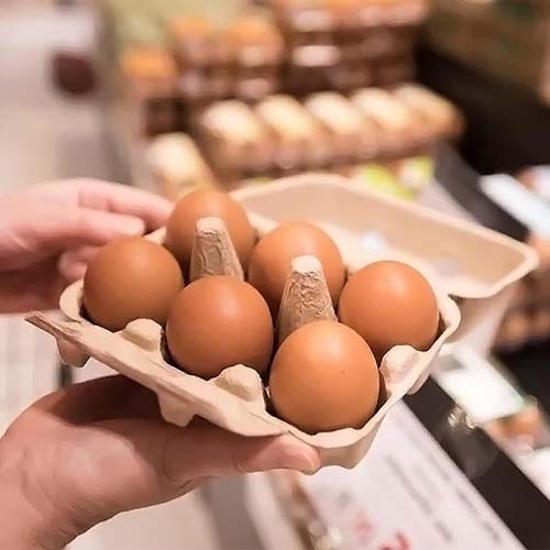 6-Hole Egg Packaging 6-Hole Egg Packaging
