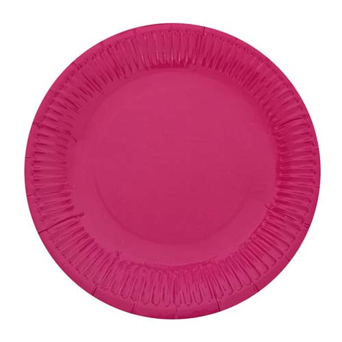 Compostable Dinner Paper Plates