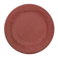 Disposable Plates for BBQ