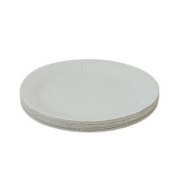 Eco-Friendly Cake Paper Plates Eco-Friendly Cake Paper Plates