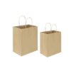 Kraft Shopping Bags with Handles