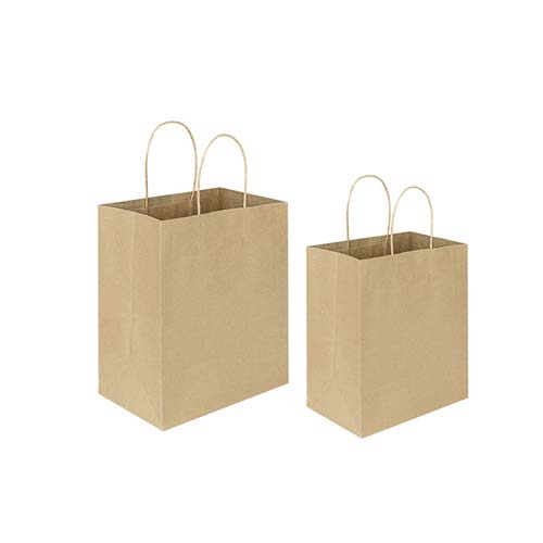 Kraft Shopping Bags with Handles