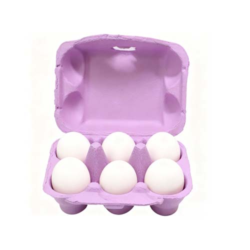 Pulp Egg Tray Carton with 6-Hole