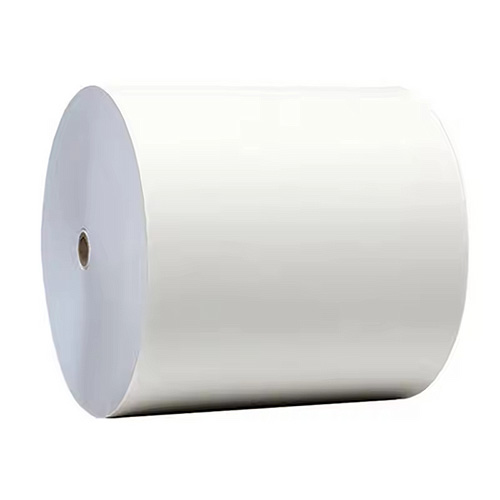 Single Side PE Coated Paper Roll Reel Single Side PE Coated Paper Roll Reel