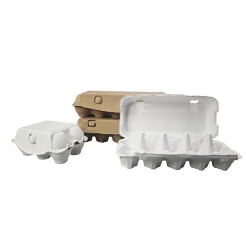 Disposable Egg Packaging Tray Disposable Egg Packaging Tray