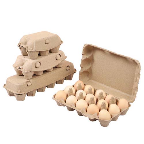 Disposable Egg Packaging Tray Disposable Egg Packaging Tray