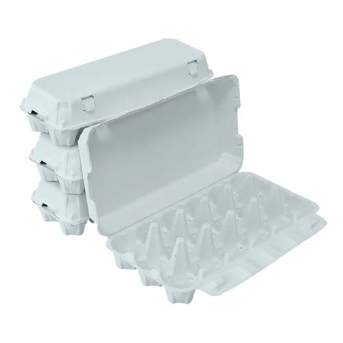 Disposable Egg Packaging Tray Disposable Egg Packaging Tray