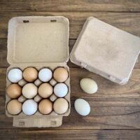 Eco-Friendly Egg Packaging Eco-Friendly Egg Packaging