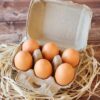 Eco-Friendly Egg Packaging Eco-Friendly Egg Packaging