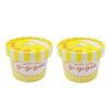 Ice Cream Cups with Paper Lid