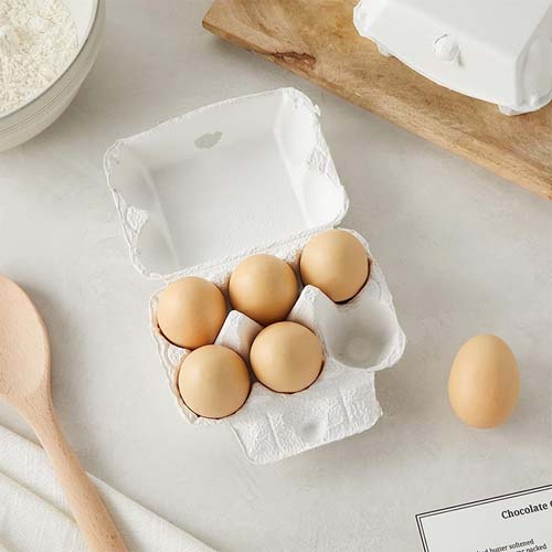 Paper Egg Packaging Trays Paper Egg Packaging Trays