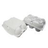 Paper Egg Tray Manufacturer