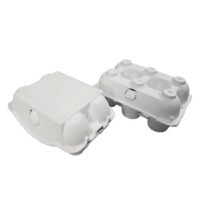 Paper Egg Tray Manufacturer