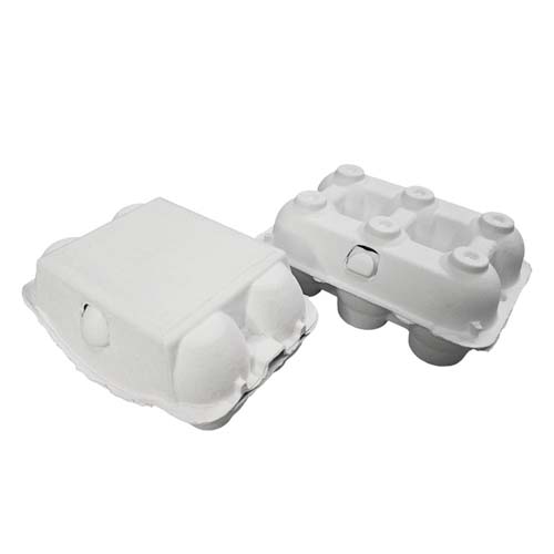 Paper Egg Tray Manufacturer