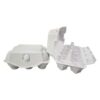 Paper Egg Tray Manufacturer