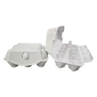 Paper Egg Tray Manufacturer
