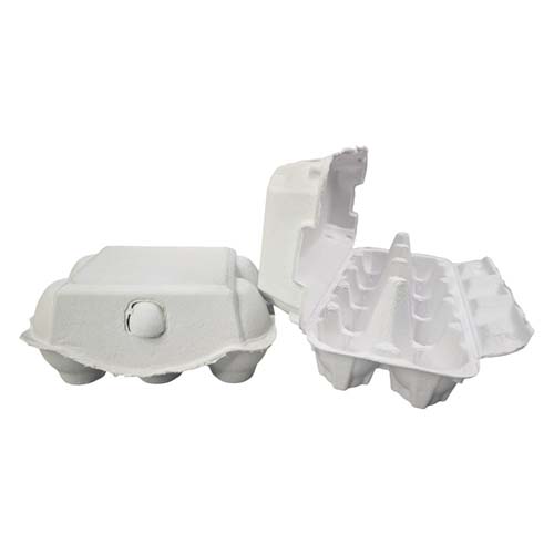 Paper Egg Tray Manufacturer