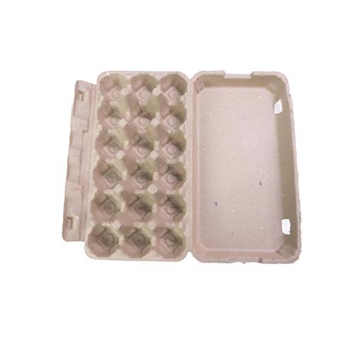 Paper Egg Tray Manufacturer