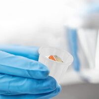 Paper Medicine Cup Paper Medicine Cup