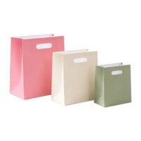 Custom Printed Cosmetic Paper Bags with Logo Custom Printed Cosmetic Paper Bags with Logo