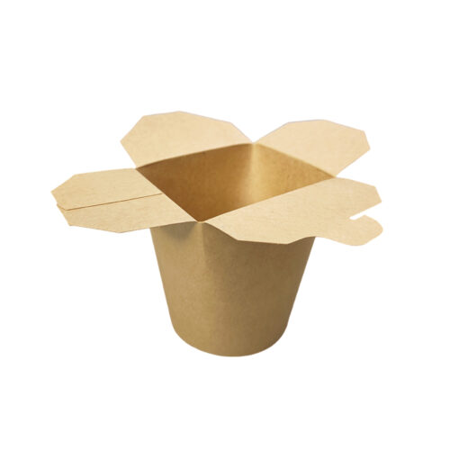 Takeaway Noodle Box