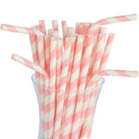 Biodegradable Straws Supplier